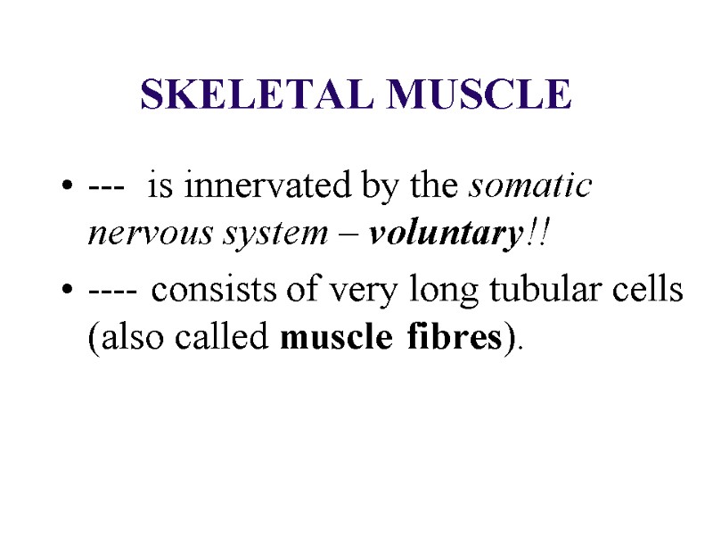 SKELETAL MUSCLE --- is innervated by the somatic nervous system – voluntary!! SKELETAL MUSCLE --- is innervated by the somatic nervous system – voluntary!!